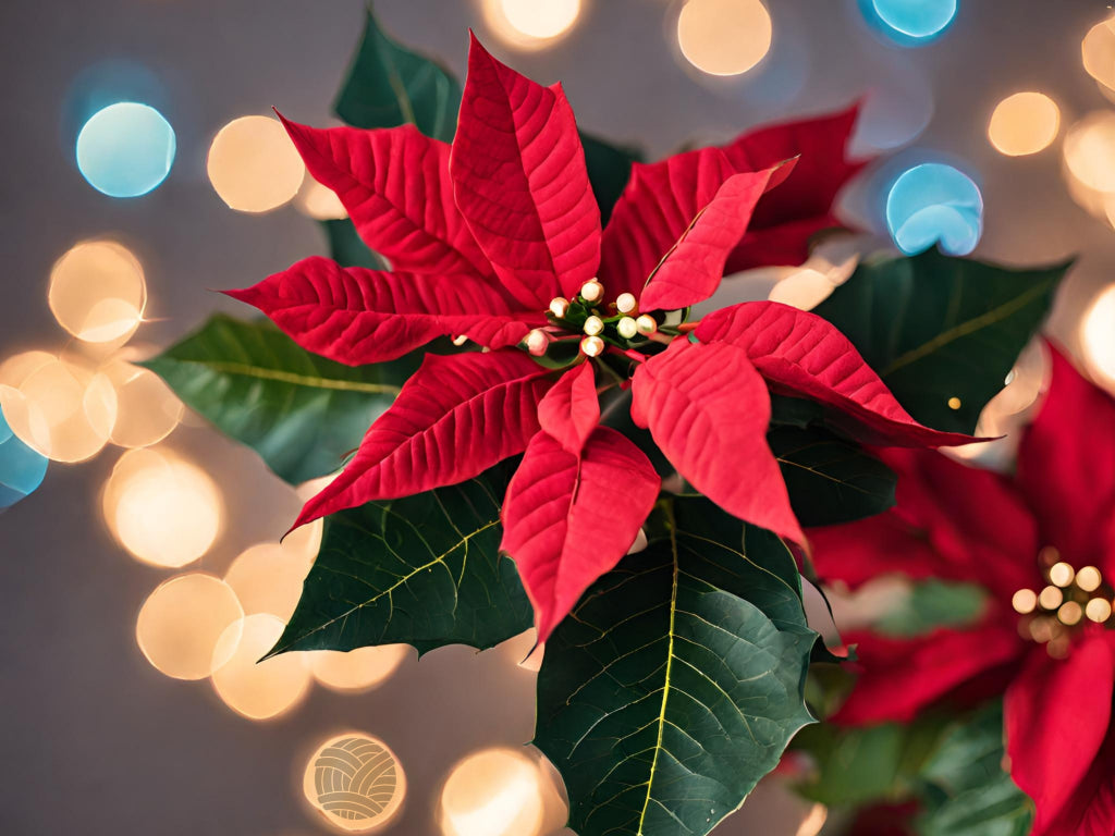 Garland Green & Poinsettia Red